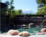 富士眺望の湯